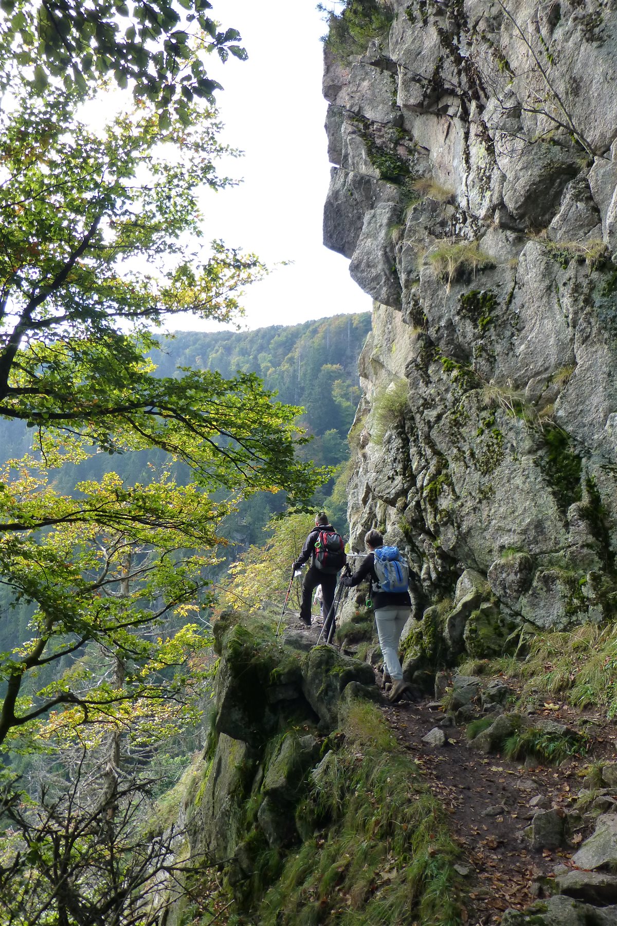 Xander's Web :: les photos des Vosges (sentier des roches, les crÃªtes